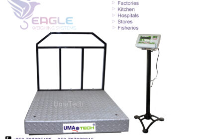 weighing-scale-square-work8-16