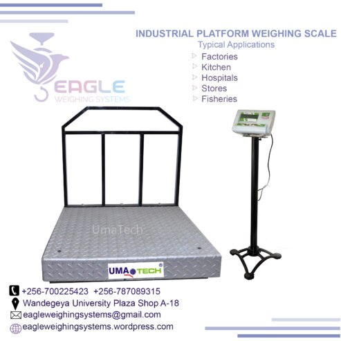 Industrial strong low profile platform scale in Kampala Ugan