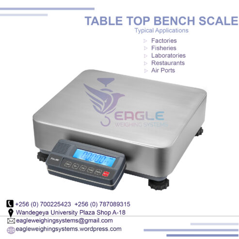 Table top digital scales Lab electronic weighing scales