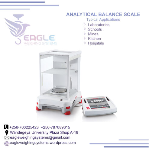 Bench Laboratory analytical Table Top Weighing Scales