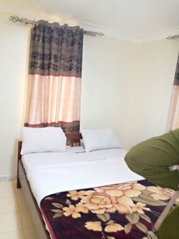 Fully furnished apartments for rent in Ntinda Naguru rd,