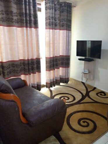 Fully furnished apartments for rent in Ntinda Naguru rd,