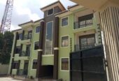 Fully finished apartment for rent in ntinda