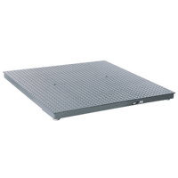 Industrial floor Weighing Scales for Foundries