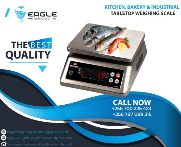 Weighing Table Top Waterproof Price Scales