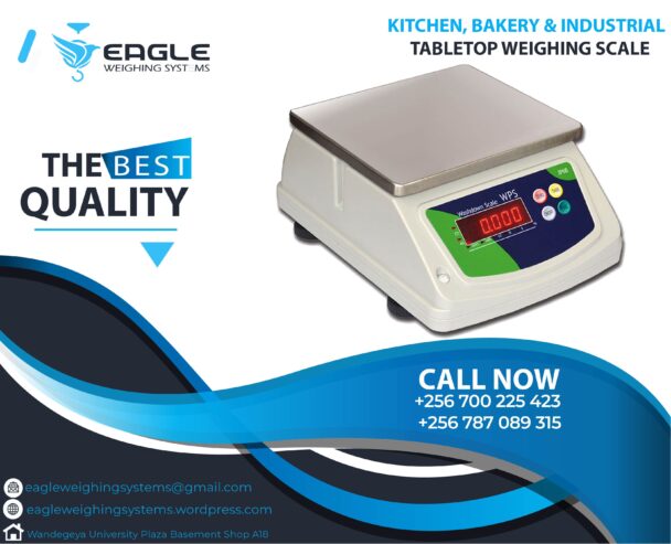 Stainless Steel Electronic Table Top weighing scales