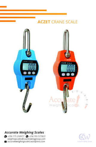 Aczet digital crane fish weighing scale with various color