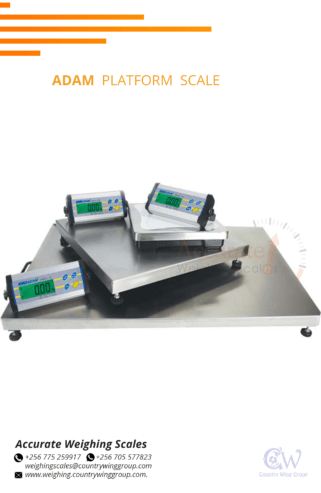 industrial factory types stainless steel Platform scales