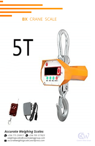 Digital BX crane weighing scale with one face