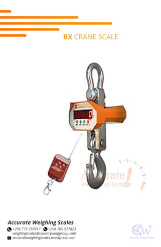 Heavy duty digital crane weighing scale with calibration