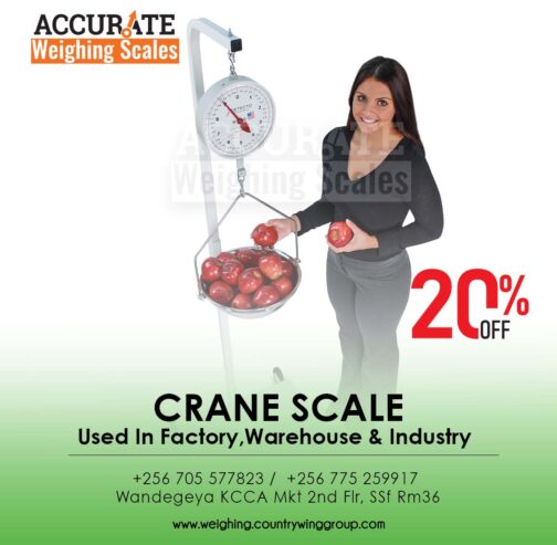 Spring balance heavy duty crane weighing scale in store