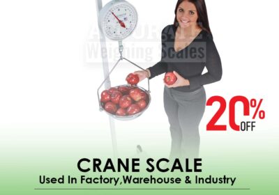 CRANE-SCALE-12