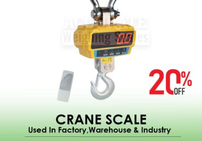 CRANE-SCALE-24-1