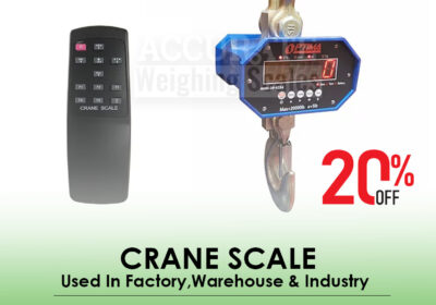 CRANE-SCALE-29