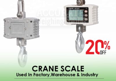 CRANE-SCALE-30