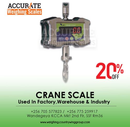 Light duty digital crane weighing scales with Two set point