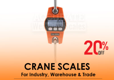 CRANE-SCALES-10