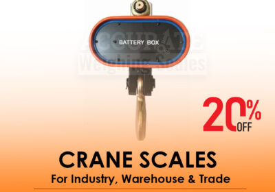 CRANE-SCALES-11