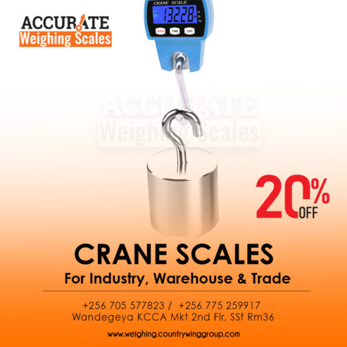 Heavy duty digital crane weighing scale with portable Blue