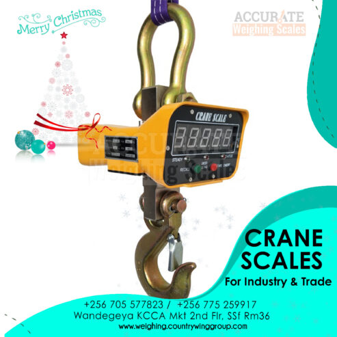 Stainless steel housing waterproof crane weighing scale