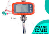 Supplier of standard digital cane weighing scales for trade