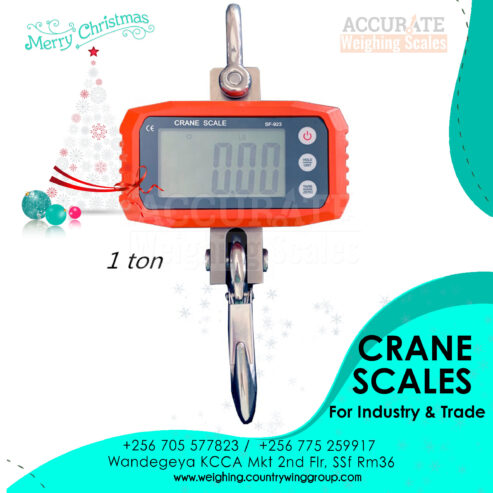 Supplier of standard digital cane weighing scales for trade