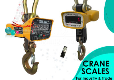 CRANE-WEIGHING-SCALES-25