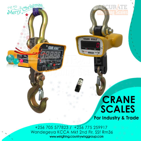 Bright LED display crane weighing scale at a supplier shop