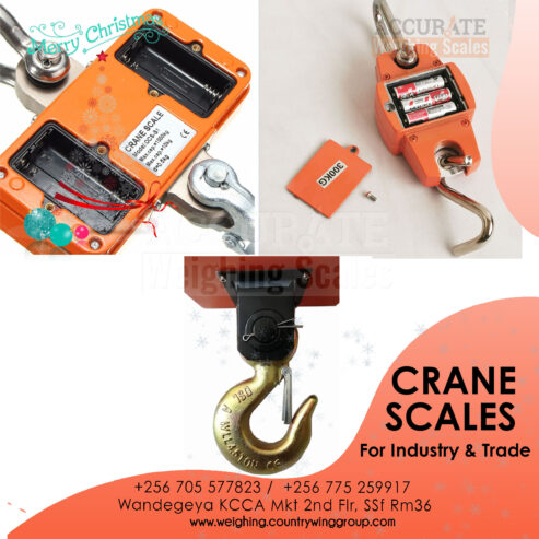 Crane weighing scales with big capacities up to 40tons