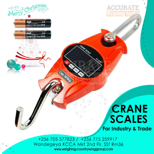 Supplier of standard digital cane weighing scales for trade