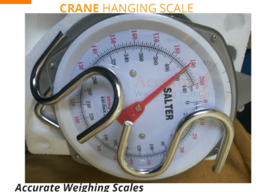 Crane-Scale-60-1.png-2-1