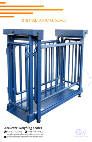 double deck design heavy duty structure animal scales