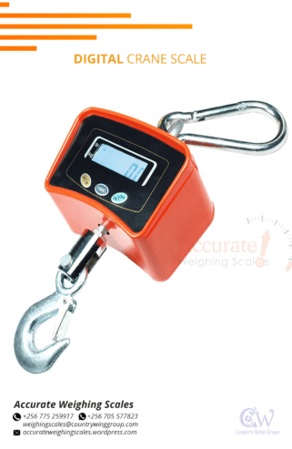 Crane weighing scale with high temperature protecting plate