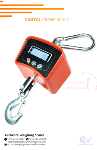 Electronic 30kg crane weighing scales for sale