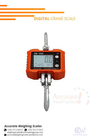 New improved digital crane weighing scales with ease use