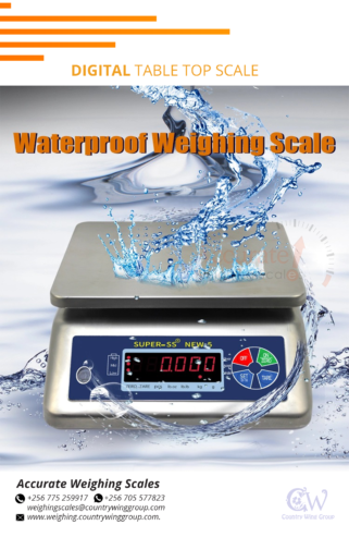 compact Waterproof Scale 30kg capacity digital type