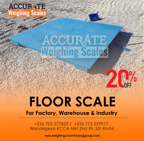 Standard commercial digital floor weighing scales