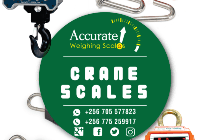 FLYER-CRANE-SCALES-png-1