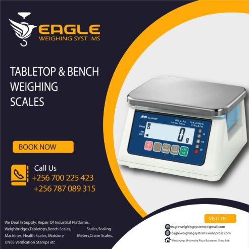 Square 30kg digital market commercial table top scale