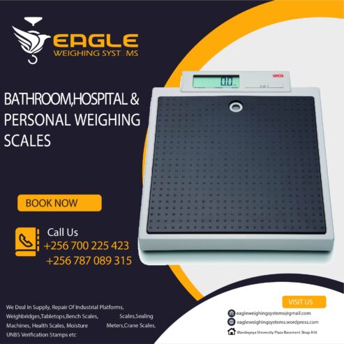 Household bathroom electronic personal weight scales