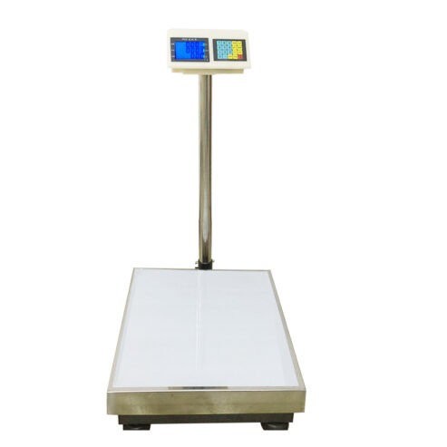 Platform Precision Scale