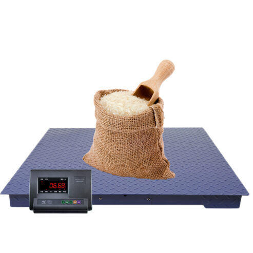 Food Industrial Processing Floor scale