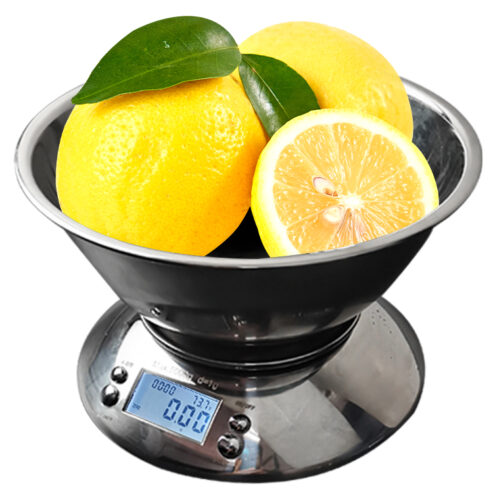 Portable table top electronic waterproof weighing scales