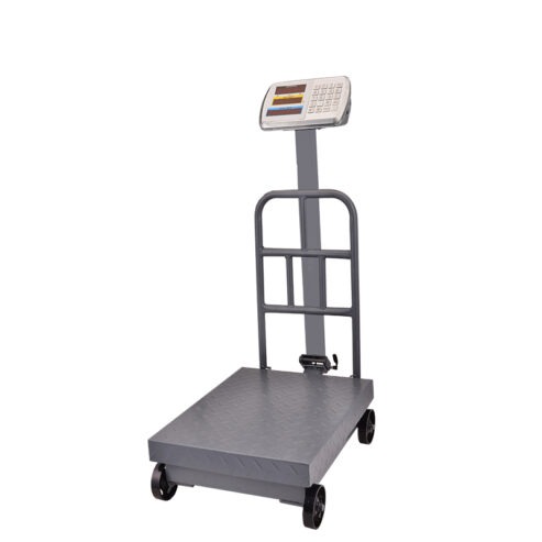 Special Design Widely Used 300kg electronic scale weigh