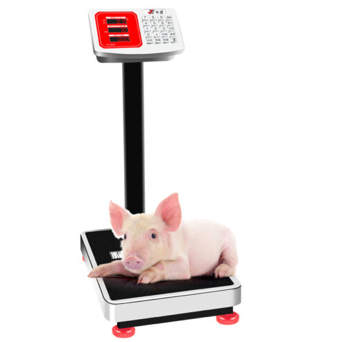 Made In South Korea 300kg Electronic Digital Platform scale