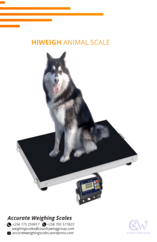 light duty animal weighing scale 80mm long dimensions