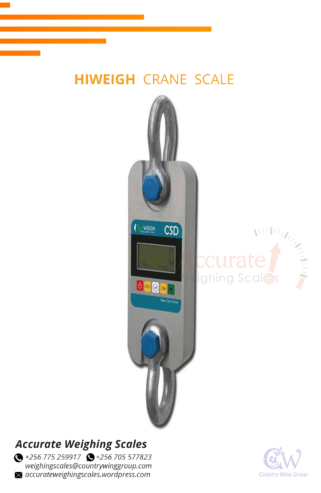 Crane weighing scale with palm indicator at affordable price