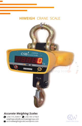 Rugged structure crane weighing scales with 3*AA batteries