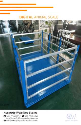 Cattle weighing scale with 3050*725*1740mm dimensions