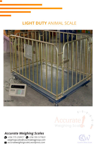 Cattle weighing scales OIML approved certificate for load